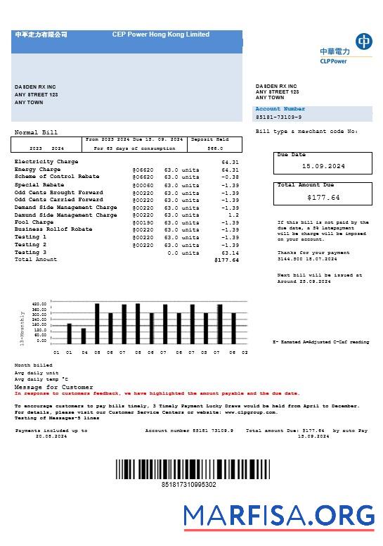 Blank CLP Power Hong Kong Limited download for verification